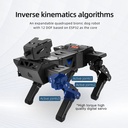 XiaoR Geek Bionic Robot Dog