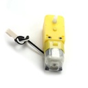 Geared Motor DC6V/312RPM